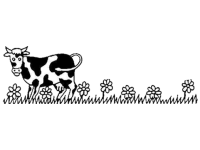 Lysser Chäsi Lysser Chäsi